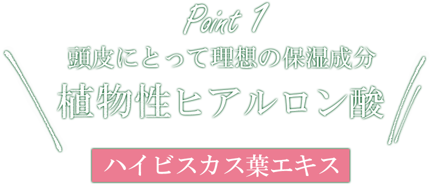 頭皮にとっての理想の保湿成分・植物性ヒアルロン酸ハイビスカス葉エキス