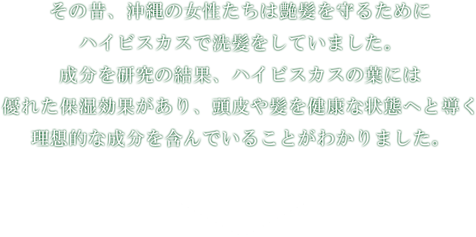 その昔、沖縄の女性たちはツヤ髪を守るためにハイビスカスで洗髪をしていました。そのハイビスカスの成分を研究した結果、ハイビスカスの葉には優れた保湿効果があり、髪や頭皮を健康な状態へと導く理想的な成分を含んでいることがわかりました。