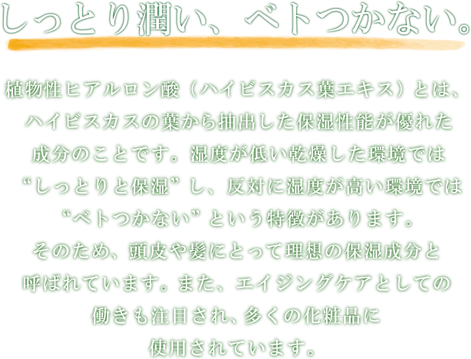 植物性ヒアルロン酸（ハイビスカス葉エキス）とは、ハイビスカスの葉から抽出した保湿性能が優れた成分のことです。湿度が低い乾燥した環境ではしっとりと保湿し、反対に湿度が高い環境ではベトつかないという特徴があります。そのため、髪や頭皮にとって理想の保湿成分と呼ばれています。また、抗酸化作用やメラニン色素を抑える働きに注目され、多くの化粧品に使用されています。