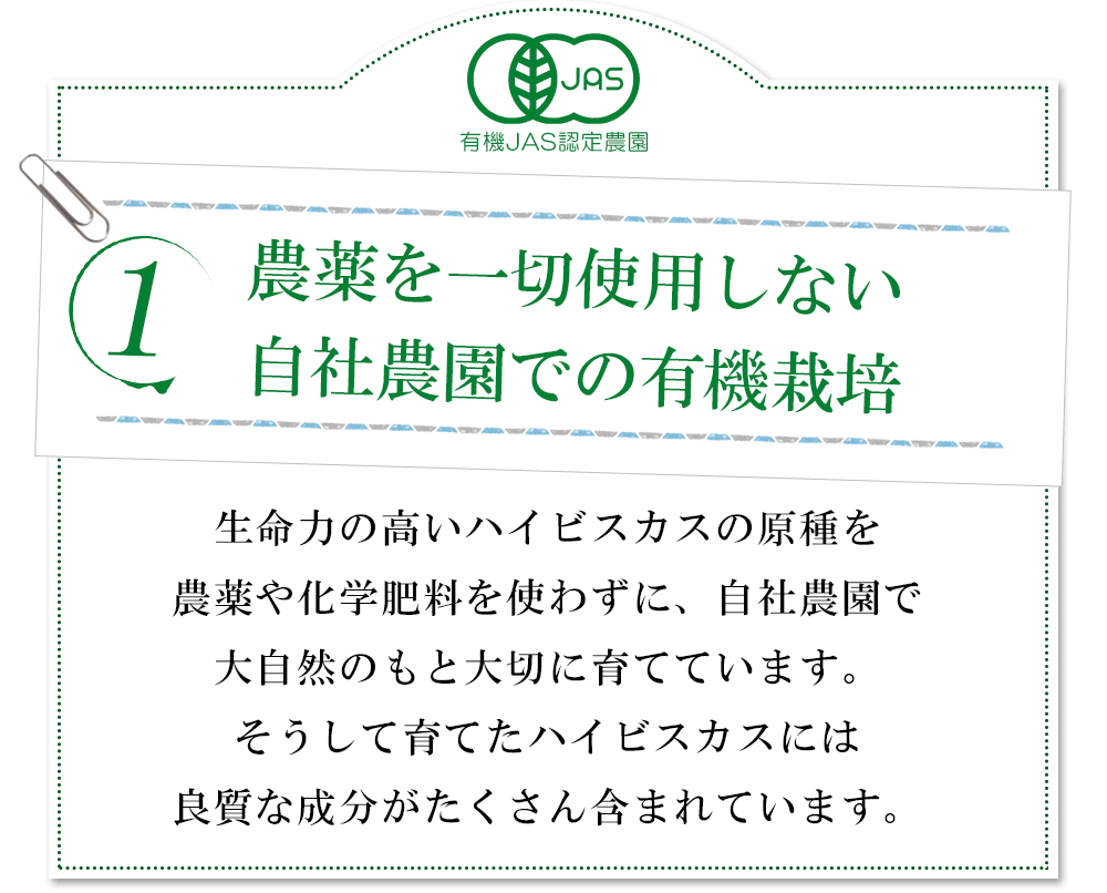 農薬を一切使用しない自社農園での有機栽培:生命力の高いハイビスカスの原種を農薬や化学肥料を一切使わず、自社農園で大自然のもと大切に育てています。そうして育てたハイビスカスには良質なエキスがたくさん含まれています。