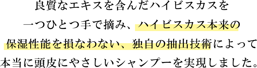 良質なエキスを含んだハイビスカスを1つひとつ手で摘み、ハイビスカス本来の保湿機能を損なわない、独自の抽出技術によって本当に頭皮に優しいシャンプーを実現しました。