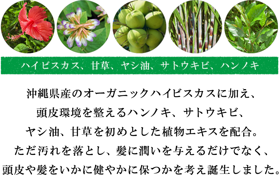 植物由来成分：甘草・ヤシ油・サトウキビ・ハンノキ。沖縄県産ハイビスカスに加え、保湿・育毛・防臭・血行促進の期待ができる甘草・ヤシ油・サトウキビ・ハンノキを初めとした植物エキスを配合。ただ汚れを落とし、髪に潤いを与えるだけでなく、髪や頭皮をいかに健やかに保つかを考えて誕生しました。