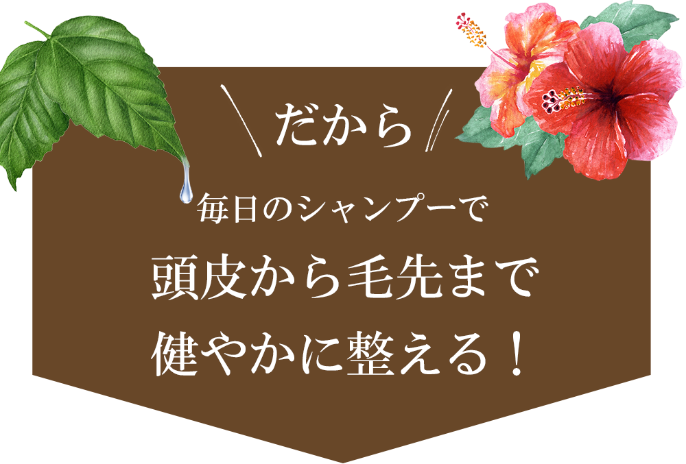 だから！毎日のシャンプーで頭皮から毛先まで健やかに整える！