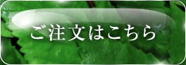 本ページからお申込み限定！返金保証付き定期コース割引キャンペーンでのご注文はこちら